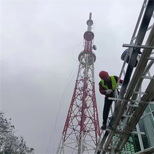 图片36
